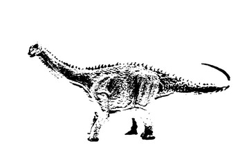 black dinosaur silhouette isolated on white background, model of dinosaurs toys © sutichak