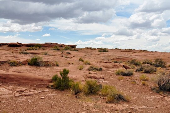 red rocks in the desert