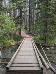Obraz premium wooden bridge in the woods