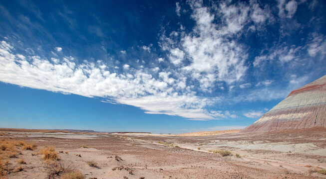Stark desert landscape in Petrified Forest National Park in Arizona United States