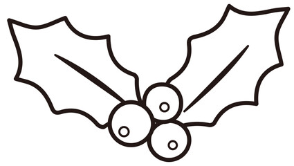  Christmas holly berry outline icon