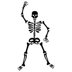 skeleton with a skull and bones