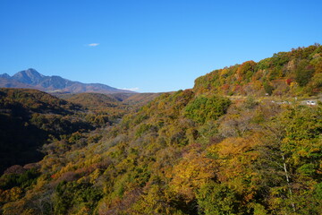 Autumn Landscape of Yatsugatake in Yamanashi, Japan - 日本 山梨県 八ヶ岳 紅葉