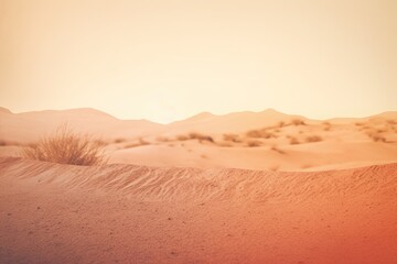 Fototapeta na wymiar Natural Earthy Desert Color Palette: Blurred Grainy Gradient Background Image