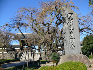 11月の東郷寺と碑銘