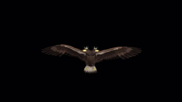 Double-Headed Eagle Bird - Imperial Symbol - Flying Loop - Front View Closeup - Realistic artistic 3D animation with alpha channel isolated on transparent background