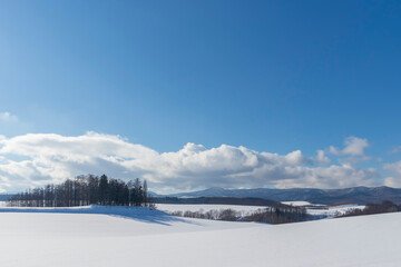 北海道美瑛町　美瑛の丘の雪景色