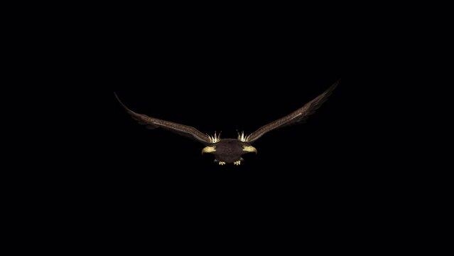 Double-Headed Eagle Bird - Imperial Symbol - Flying Loop - Front View Closeup - Realistic artistic 3D animation with alpha channel isolated on transparent background