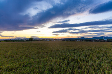 View of delta Ebro, the delta region of the Ebro River in the southwest of the Province of Tarragona in the region of Catalonia in Spain