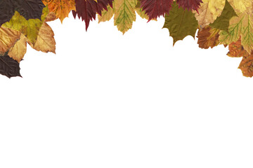 Digital png photo of fall leaves with copy space on transparent background