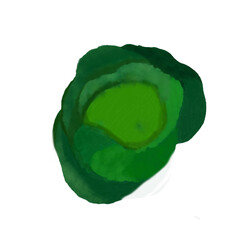 digital drawing with watercolor style illustration