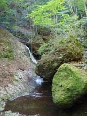 Asao Falls and its surroundings