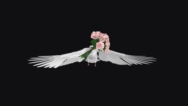 White Dove Bird with Bouquet of Pink Rose Flowers - Flying Loop - Front View - Alpha Channel - Artistic realistic 3D animation isolated on transparent background