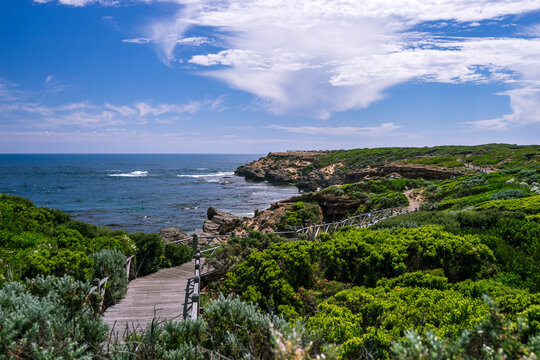 Walking path along the rugged coastline in Warrnambool, VIC, Australia