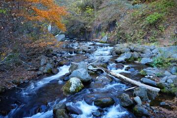 Naklejka na ściany i meble Autumn Landscape and Doryu no Taki Waterfall in Yamanashi, Japan - 日本 山梨県 吐竜の滝