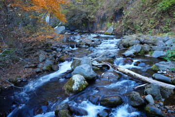 Autumn Landscape and Doryu no Taki Waterfall in Yamanashi, Japan - 日本 山梨県 吐竜の滝