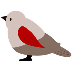 bullfinch bird vector illustration style