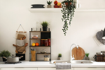 White kitchen counter with sink, houseplants and different utensils