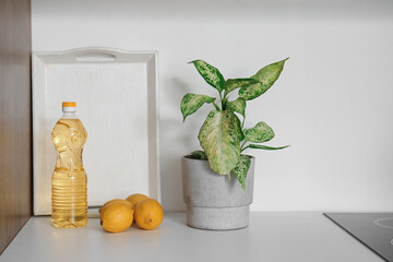 Houseplant, lemons and bottle of sunflower oil on white kitchen counter