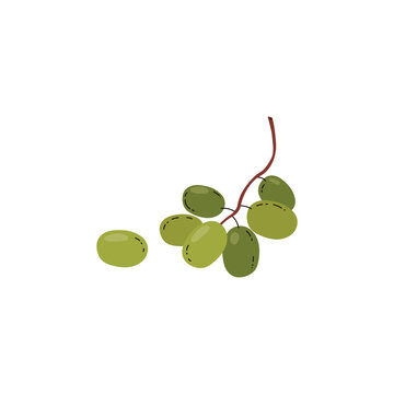 Green grapes branch icon flat vector illustration isolated on background.