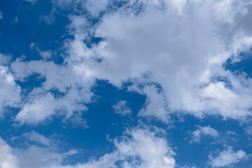 white clouds in the blue sky. cumulus.