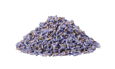 dry lavender flower isolated on white background. pile of dry lavender flower isolated. heap of dry lavender flower for healthy tea isolated