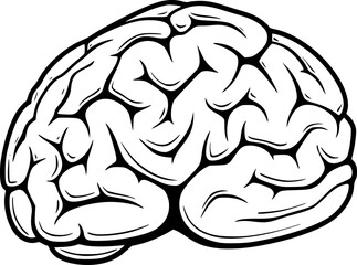 outline illustration of brain for coloring page