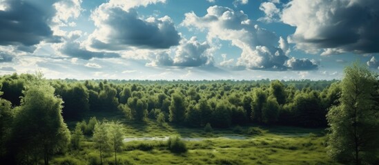 On a cloudy summer day, the sky was filled with stunning clouds as they floated above a lush green landscape of trees, grass, and a captivating forest, creating a breathtaking outdoor scene and a