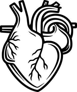 outline illustration of heart for coloring page