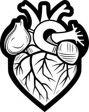 outline illustration of heart for coloring page