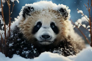 Fotobehang a panda in the snow © Angah