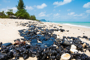 Thailand oil spill - 680407316