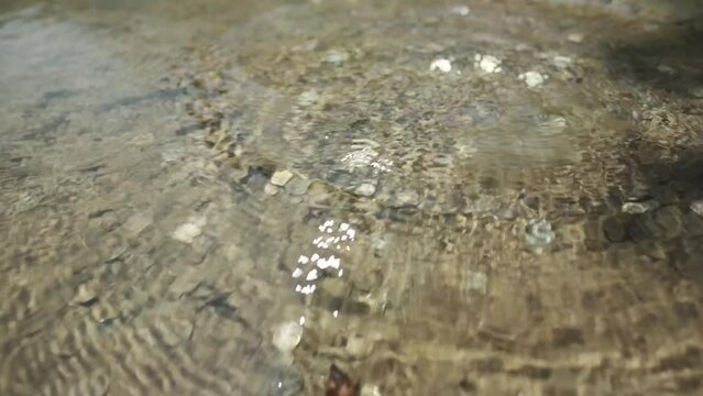 Throwing in some coins while making a wish in the clear mineral spring waters of St. Petka Church yard, known to be miraculous and can grant wishes escpecially healing, located in Rupite, Bulgaria.