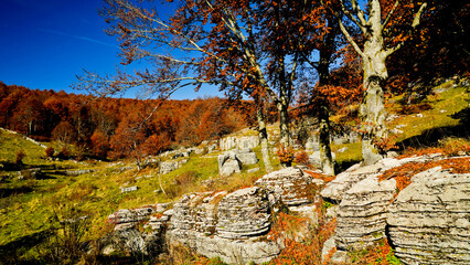 Altopiano di Lessinia. Panorama autunnale sui pascoli e le malghe. Provincia di Verona.Veneto, Italia