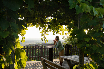 A woman admires the view of the vineyards standing at a table on the terrace of a cafe