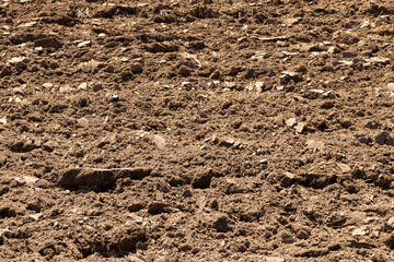 plowed soil in the field for sowing plants