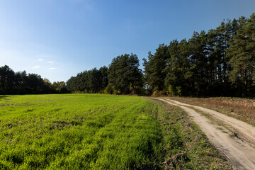 A rural road without asphalt in the autumn season