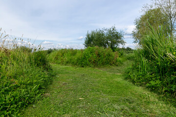 autumn field part of the grass is mown for walking through the field