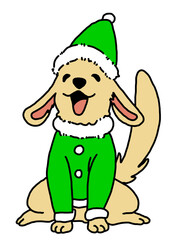 Cute Christmas dog
