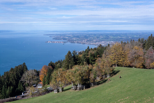 View of Lake Constance and the mountain slope from Mount Pfaender in Bregenz