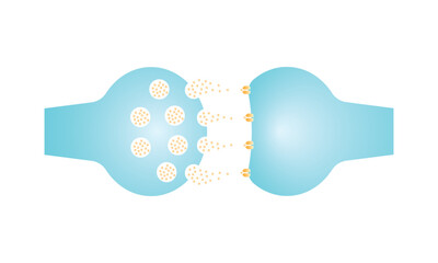 Synaptic Transmission Scientific Design. Vector Illustration. © Kooto