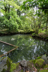 初夏の金沢旅行・新緑が映える兼六園の沈砂池