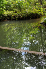 初夏の金沢旅行・新緑が映える兼六園の沈砂池