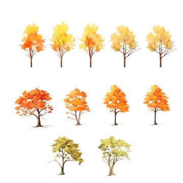 Autumn tree watercolor Set clipart isolated transparent background crop picture use.  PNG 300 DPI
