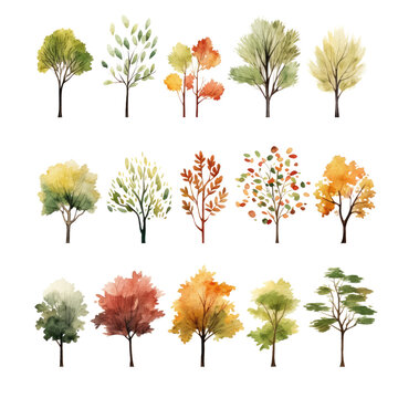 Autumn tree watercolor Set clipart isolated transparent background crop picture use.  PNG 300 DPI