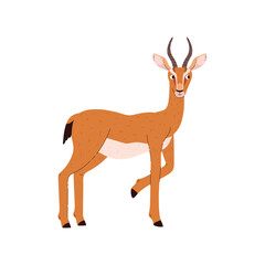 Antelope agile herbivores desert animal, flat vector illustration isolated.