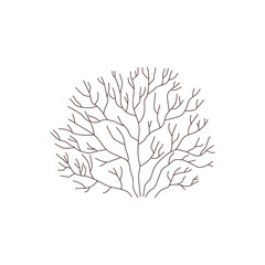 Bush without leaves flat style, vector illustration