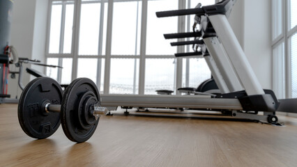 Fototapeta na wymiar dumbbells in the gym, the concept of a healthy lifestyle