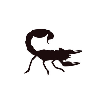 Scorpion arachnids insect and zodiac symbol, black silhouette vector isolated.