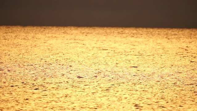 Golden sea at sunset. Sun reflects and sparkles on the waves with bokeh, illuminating golden sea with birds. Holiday recreation concept. Abstract nautical summer ocean sunset nature background